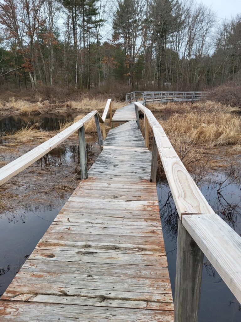 An image of the bridge damage where the 3rd section of the wooden bridge has collapsed sideways into the water below as well as the rail on the left side of that segment