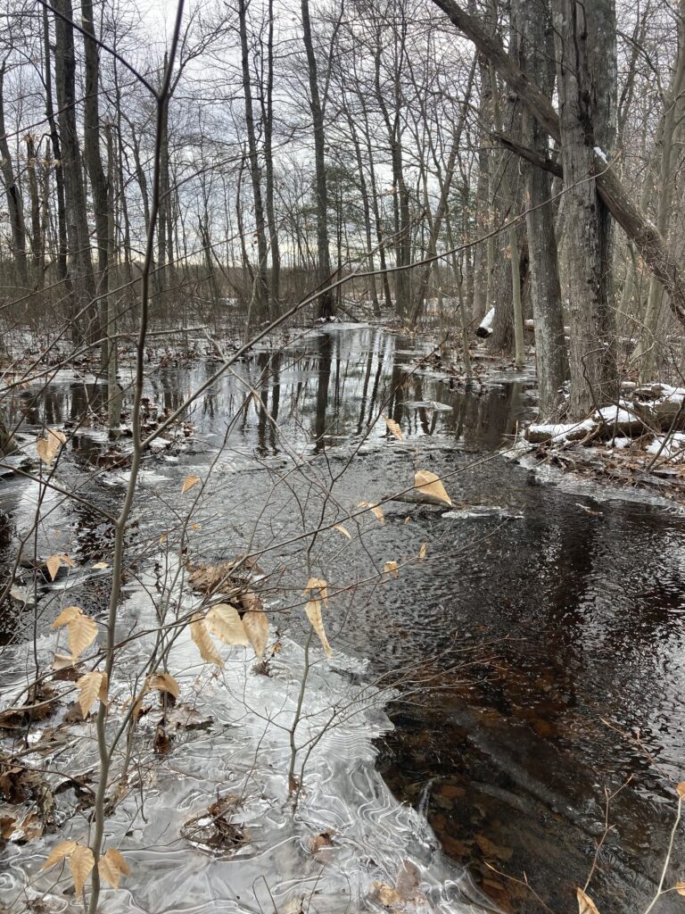 Photo 2 depicts trail at mile 3.3 on Map 12. Trail is too flooded to see clear corridor and would not be safely passable without warm clothes and waterproof waders